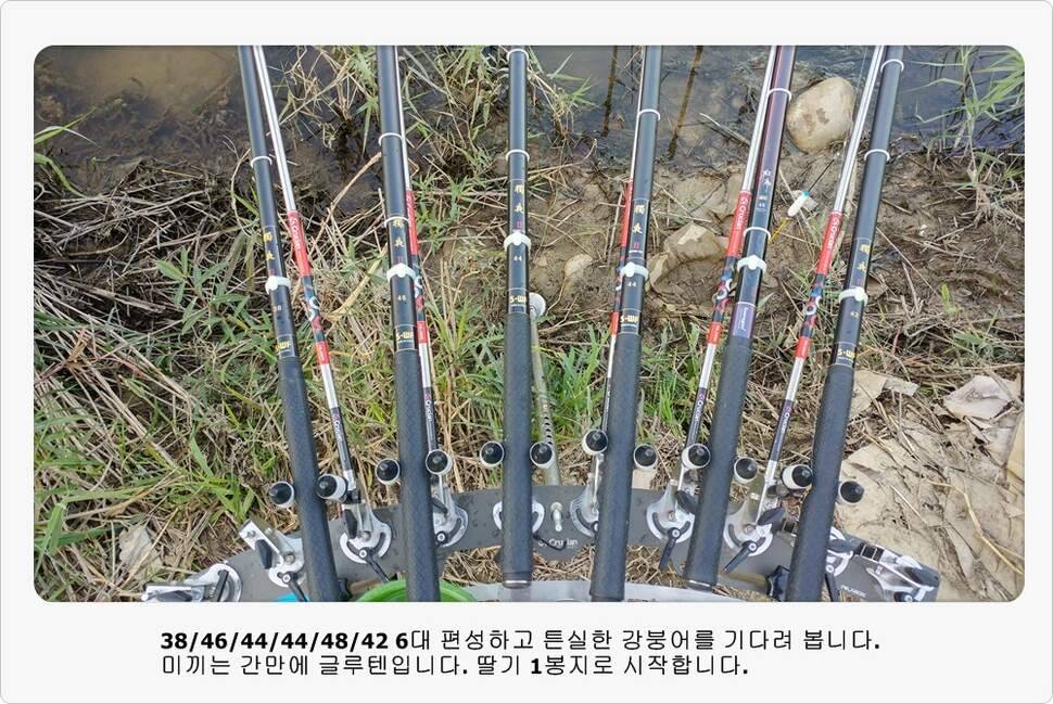 앵글러 34 (조황조행기 - 화보조행기)