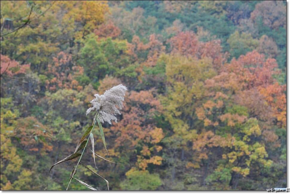 만추 (조황조행기 - 화보조행기)