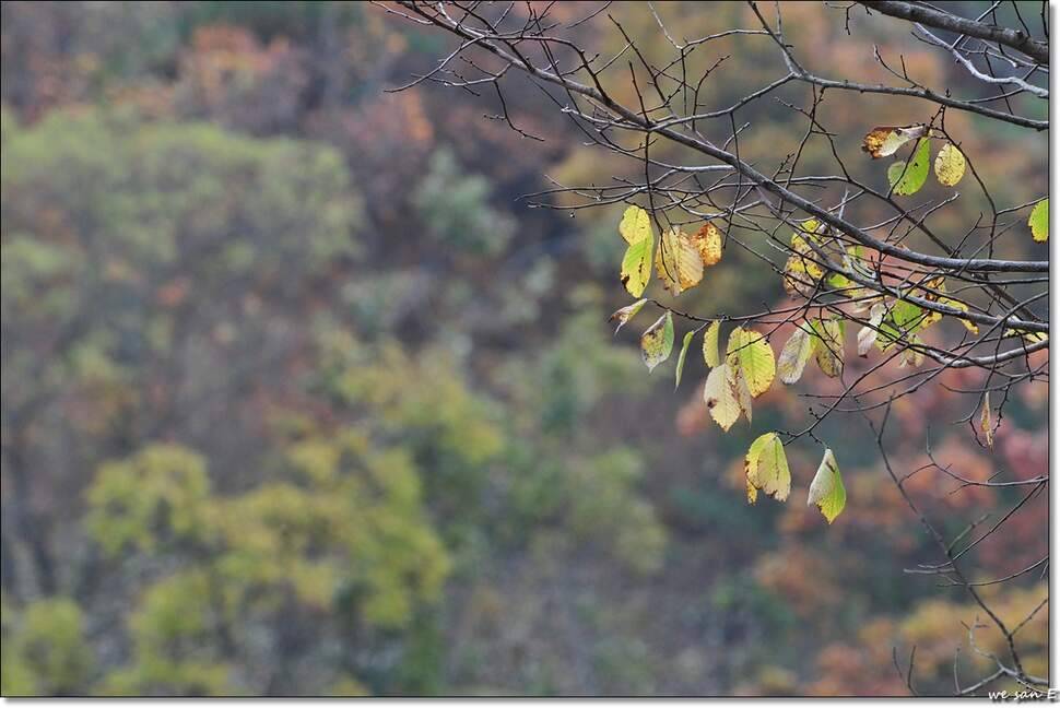 만추 (조황조행기 - 화보조행기)