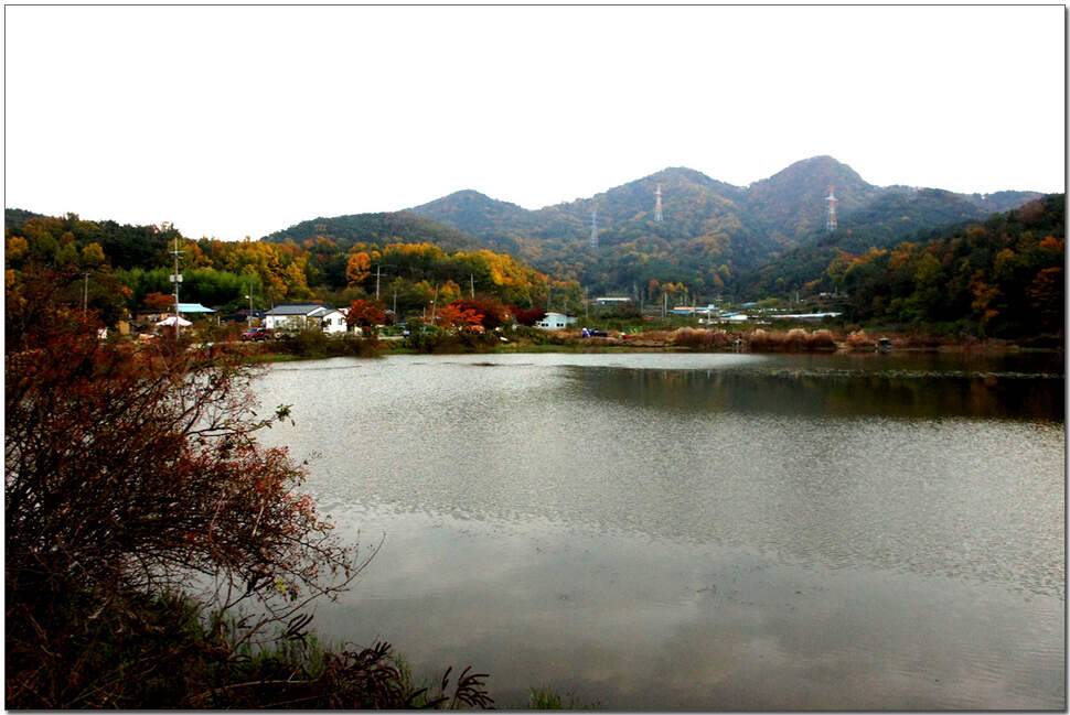 워리를 찾아서 1 (조황조행기 - 화보조행기)