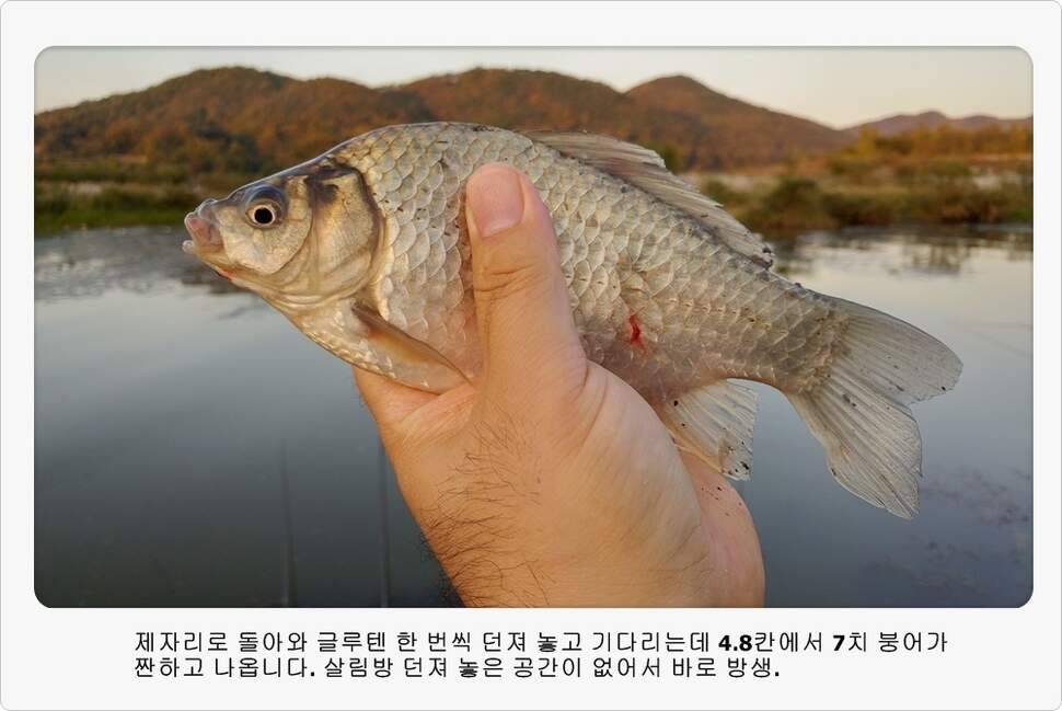 앵글러 34 (조황조행기 - 화보조행기)