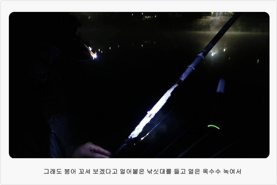 앵글러 37 (조황조행기 - 화보조행기)