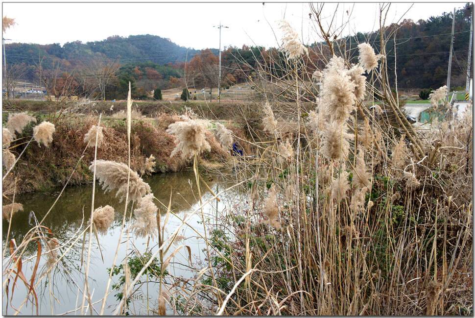 워리를 찾아서 3 (조황조행기 - 화보조행기)
