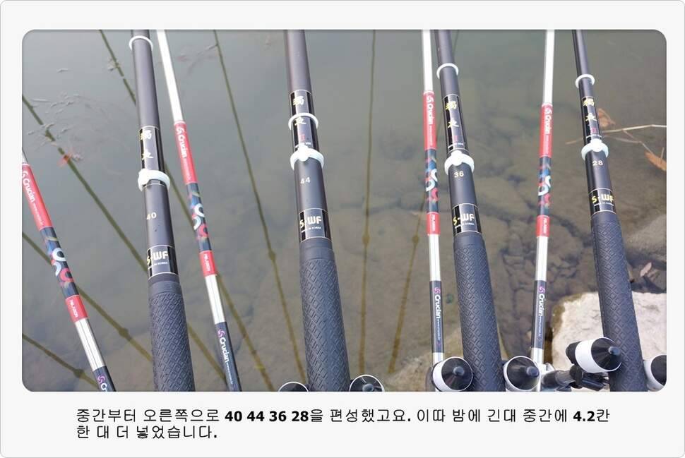 앵글러 37 (조황조행기 - 화보조행기)