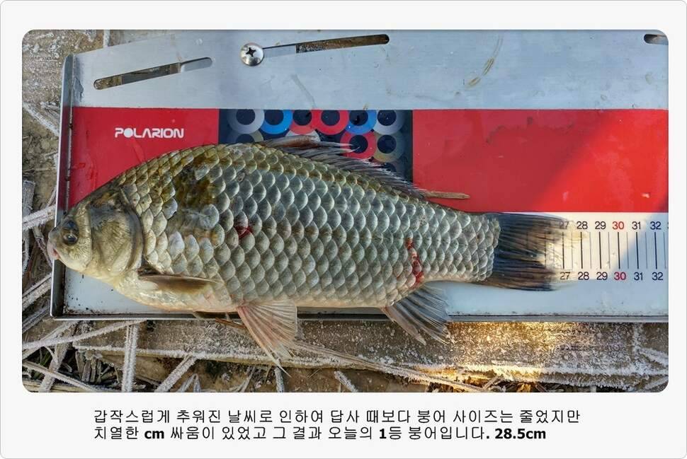 앵글러 37 (조황조행기 - 화보조행기)