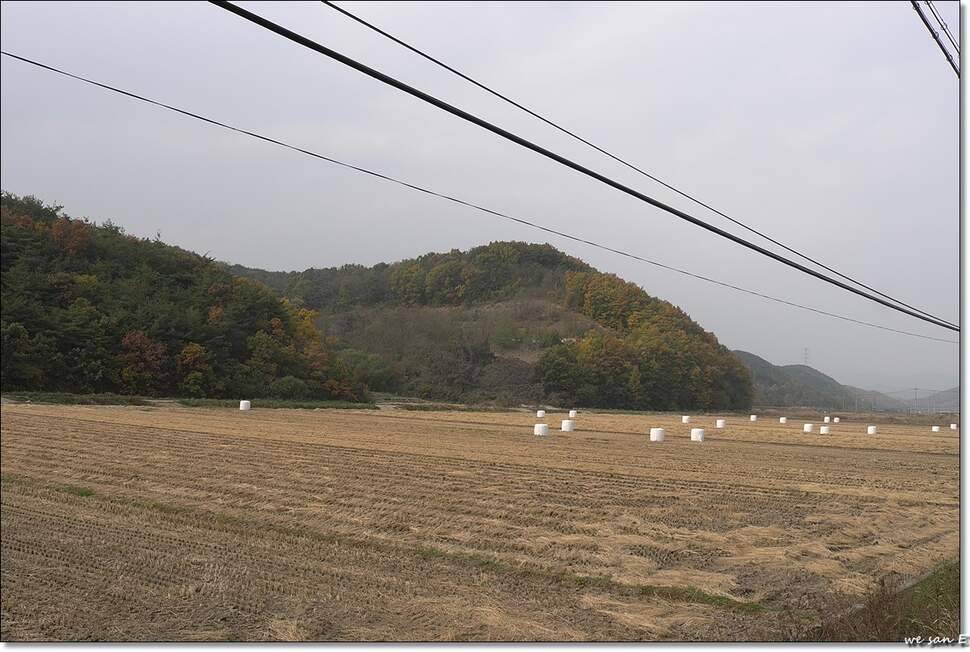 만추 (조황조행기 - 화보조행기)