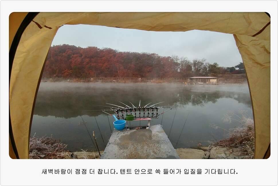 앵글러 37 (조황조행기 - 화보조행기)
