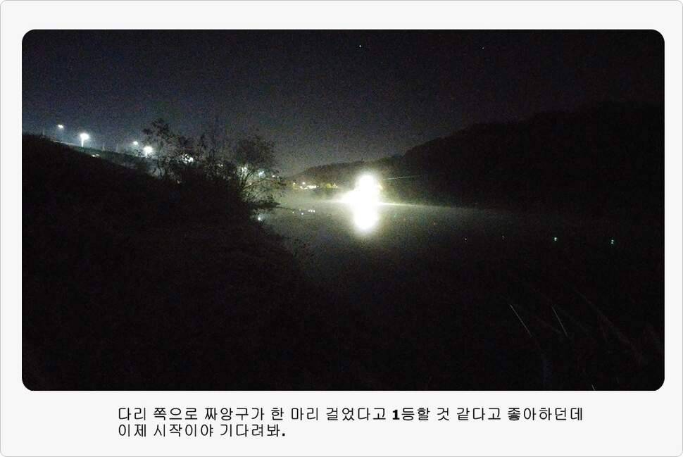 앵글러 37 (조황조행기 - 화보조행기)