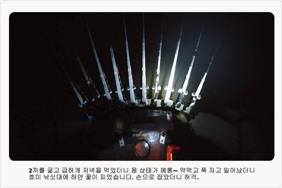 앵글러 37 (조황조행기 - 화보조행기)