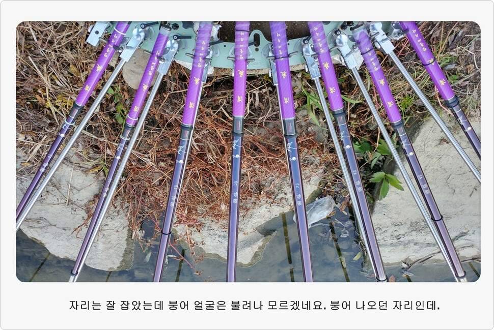 앵글러 37 (조황조행기 - 화보조행기)