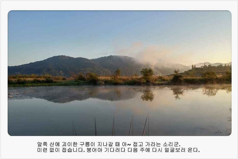 앵글러 34 (조황조행기 - 화보조행기)