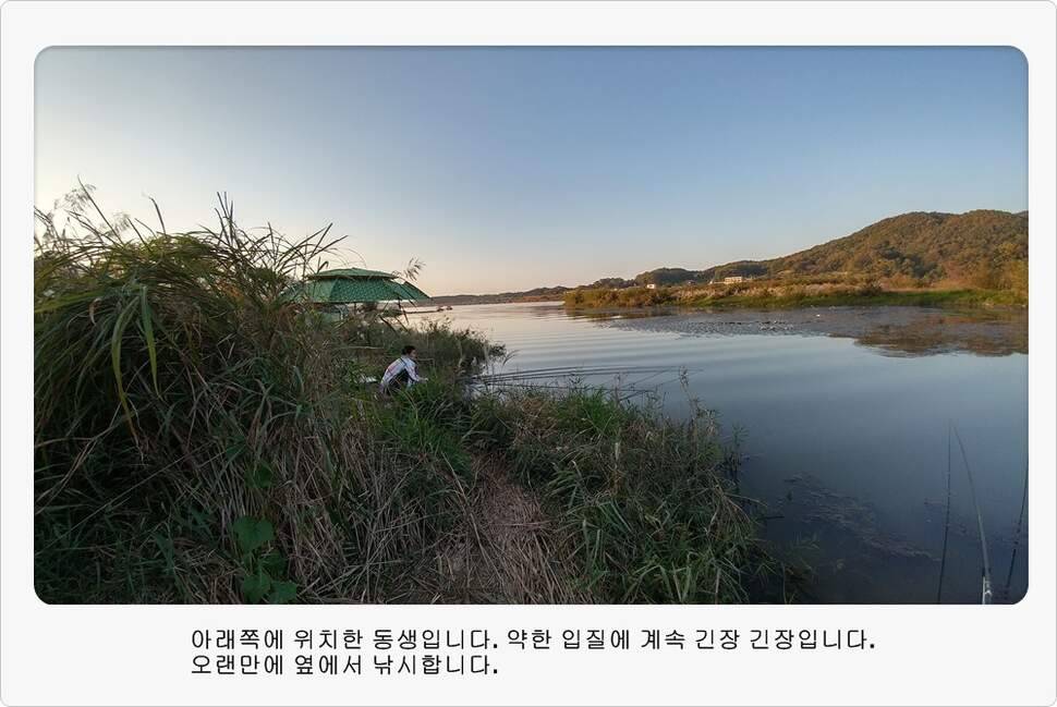 앵글러 34 (조황조행기 - 화보조행기)