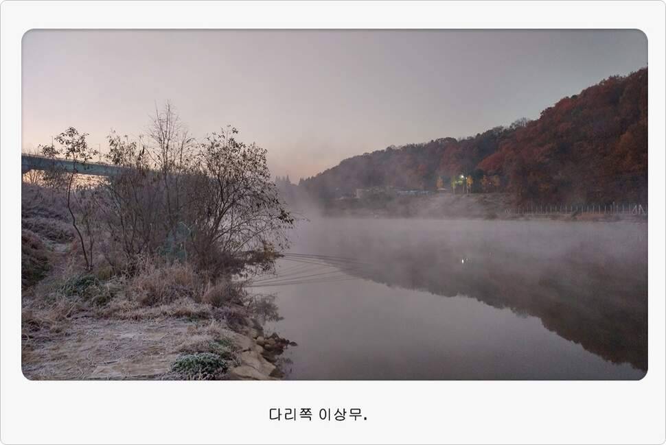 앵글러 37 (조황조행기 - 화보조행기)