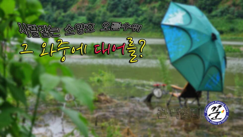 소양호 첫 오름수위 (조황조행기 - 화보조행기)