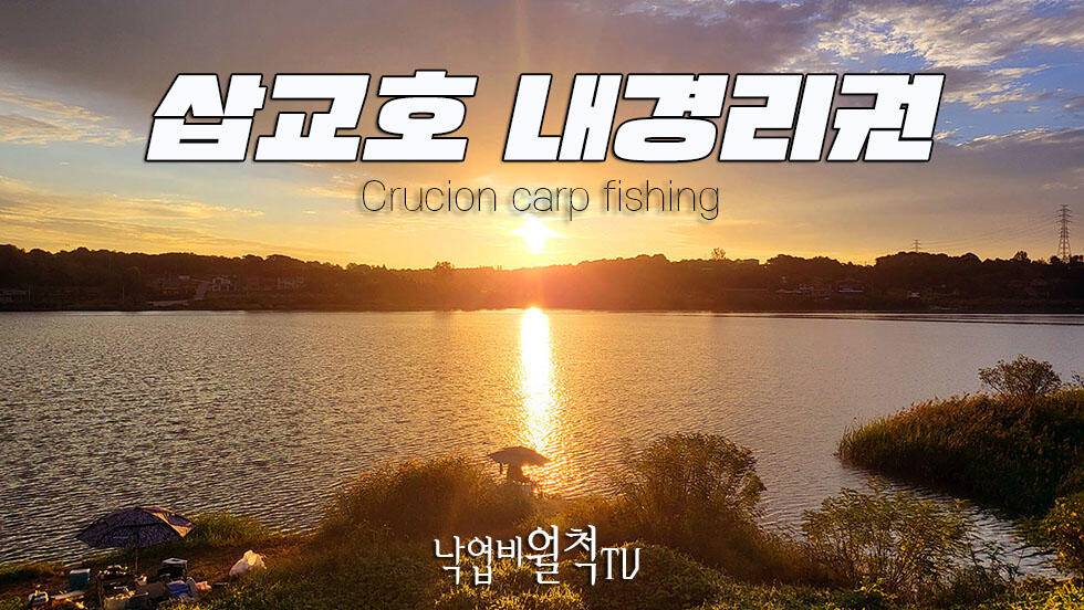 무르익는 가을 시즌임박 삽교천 (조황조행기 - 화보조행기)