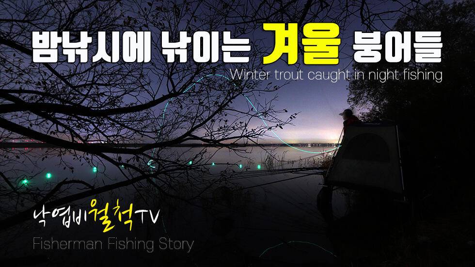 풍성한 겨울 붕어낚시 (조황조행기 - 화보조행기)