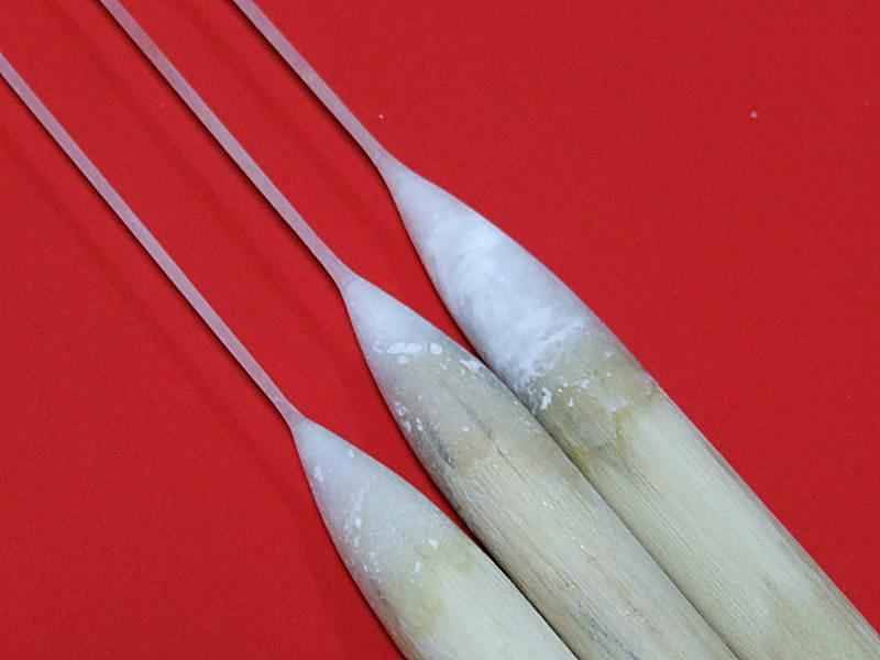 난공불락 (월척지식 - 찌공방)