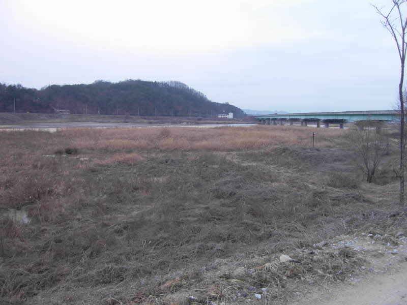 총알 1차분 완성 (월척지식 - 찌공방)