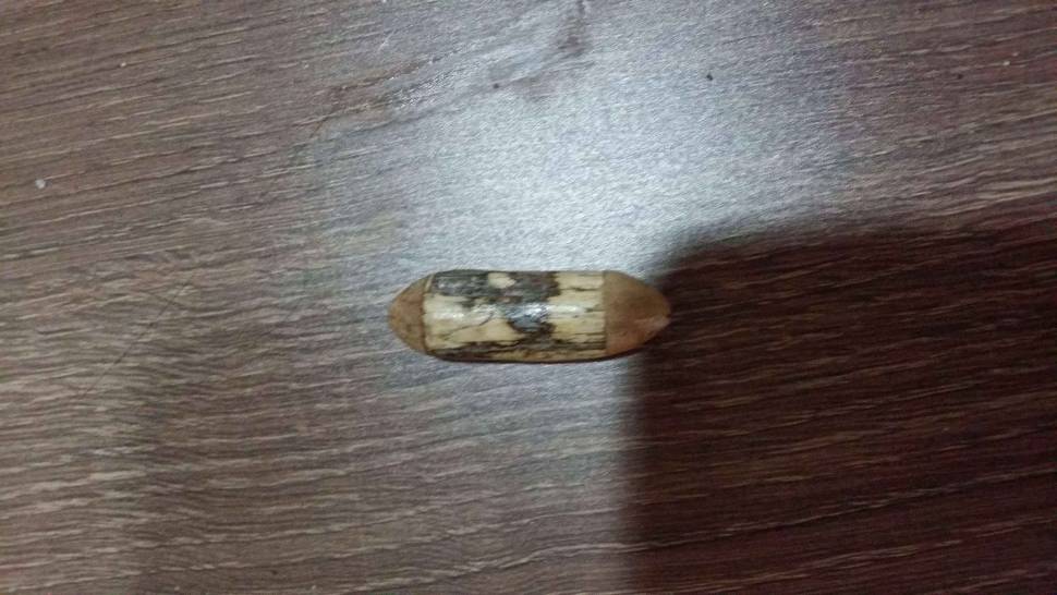 조하님 이거 망초가 맞는지여 (월척지식 - 찌공방)