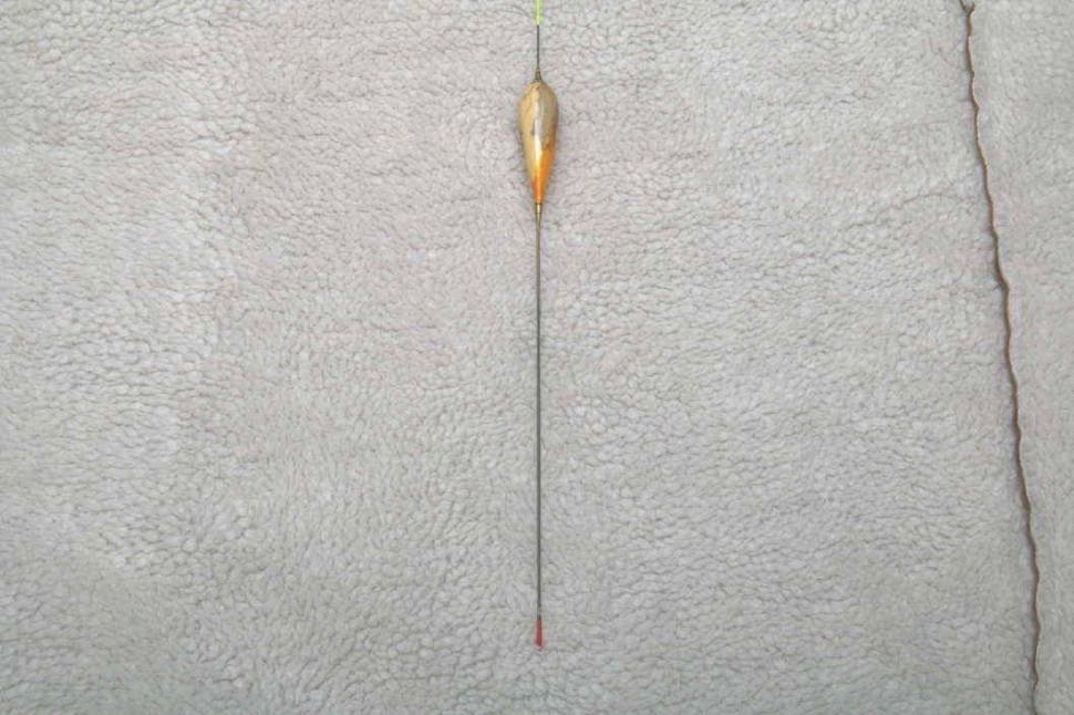 무늬없는 파카라입니다 (월척지식 - 찌공방)