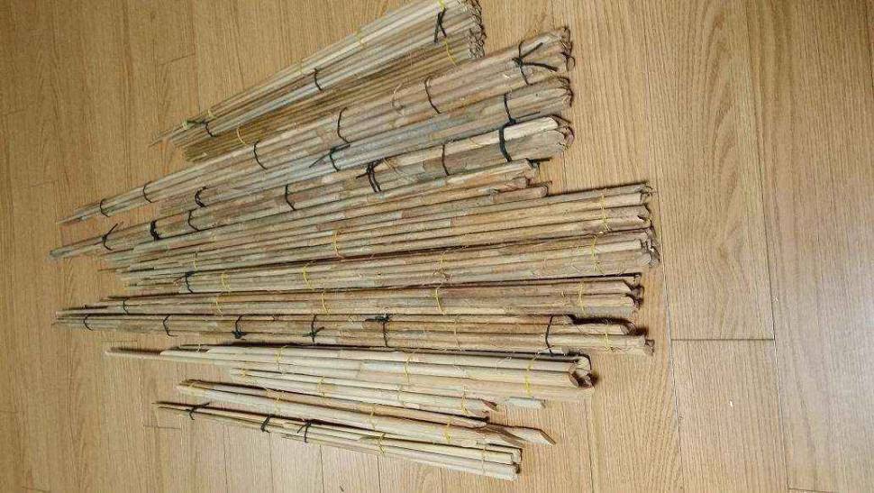 지난겨울 채취한 풀대들 (월척지식 - 찌공방)