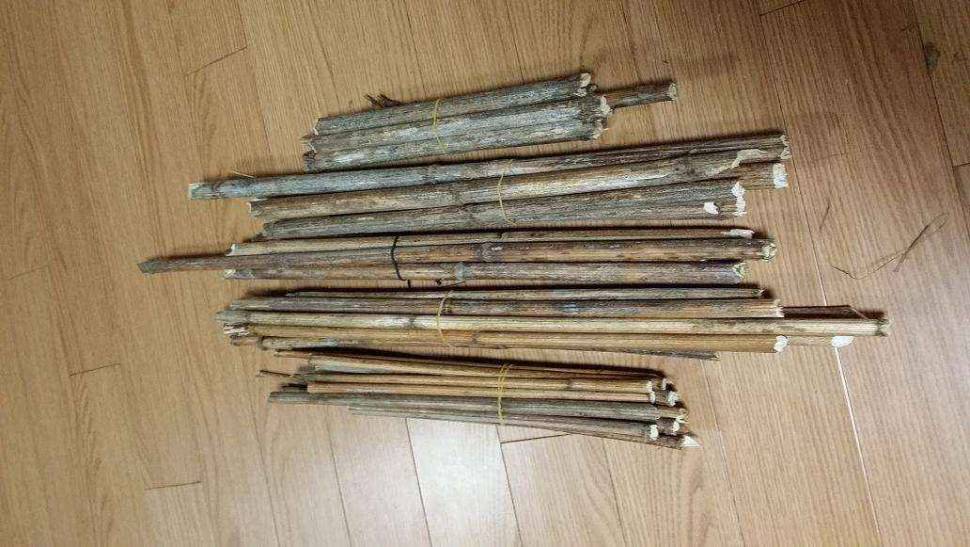 지난겨울 채취한 풀대들 (월척지식 - 찌공방)