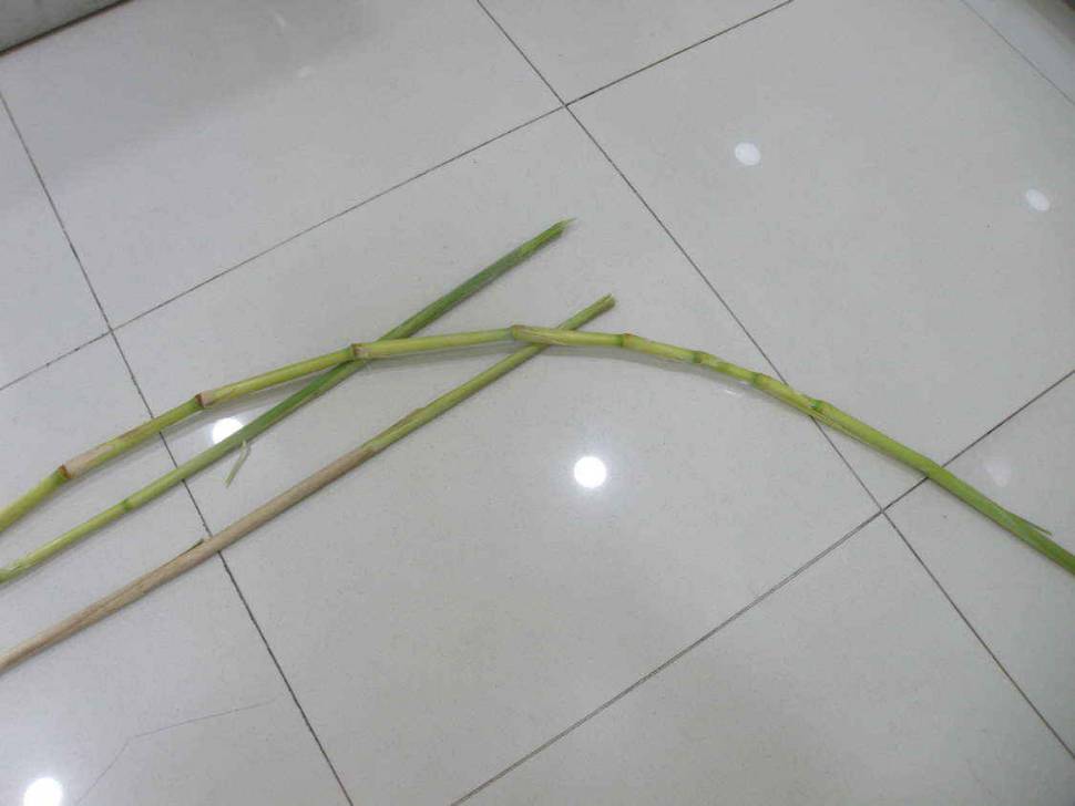 보물창고에 다녀왔습니다 (월척지식 - 찌공방)