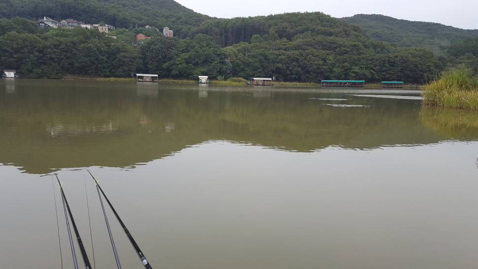 수파골드32 짬낚했어요 (낚싯대포럼 - 은성)