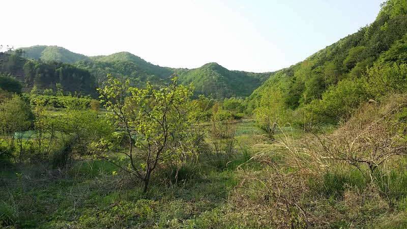 천명극과 함께한 3박4일 사용기 (낚싯대포럼 - 기타)