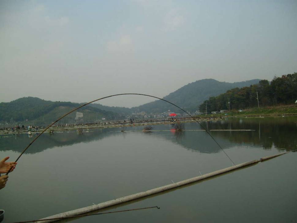 태극 낚시대 1 (낚싯대포럼 - 기타)