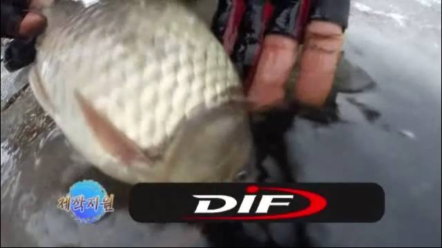 2015년 대림낚시 시조회 대물밤낚시 대회 (낚싯대포럼 - DIF)
