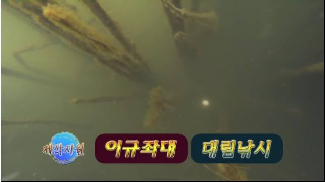 2015년 대림낚시 시조회 대물밤낚시 대회 (낚싯대포럼 - DIF)
