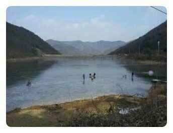 118일 매곡지 조황 (조황조행기 - 낚시점조황)
