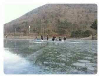 118일 매곡지 조황 (조황조행기 - 낚시점조황)