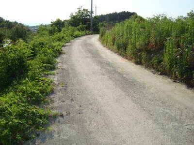주말 새물찬스 (조황조행기 - 낚시점조황)