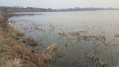 서태안권 허리급 월척조황 (조황조행기 - 낚시점조황)
