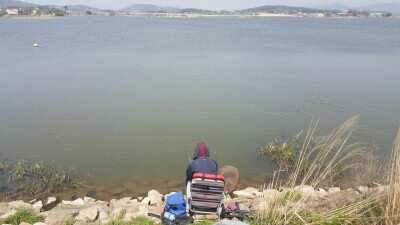 서산권 잠홍지 월척조황 (조황조행기 - 낚시점조황)