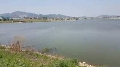 서산권 잠홍지 월척조황 (조황조행기 - 낚시점조황)
