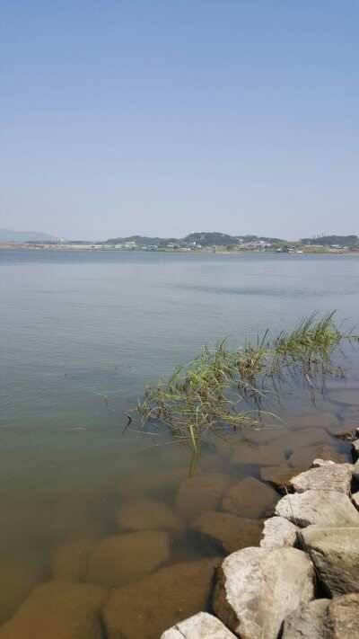 서산권 잠홍지 월척조황 (조황조행기 - 낚시점조황)