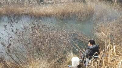 서산태안권 저수지수로월척조황 (조황조행기 - 낚시점조황)