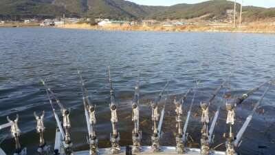 서산태안권 저수지수로월척조황 (조황조행기 - 낚시점조황)