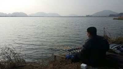 서산태안권 저수지수로월척조황 (조황조행기 - 낚시점조황)
