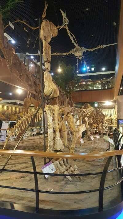 서산권 월척조황 (조황조행기 - 낚시점조황)