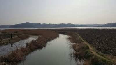 서산권 월척조황 (조황조행기 - 낚시점조황)