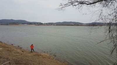 서태안권 주말조황 월척 (조황조행기 - 낚시점조황)
