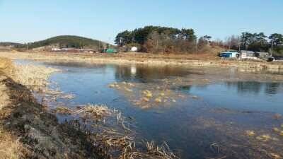 서태안권 주말조황 월척 (조황조행기 - 낚시점조황)