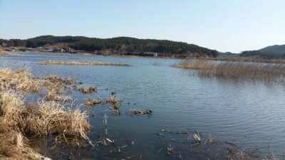 서태안권 주말조황 월척 (조황조행기 - 낚시점조황)