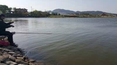 서태안권 조황 (조황조행기 - 낚시점조황)