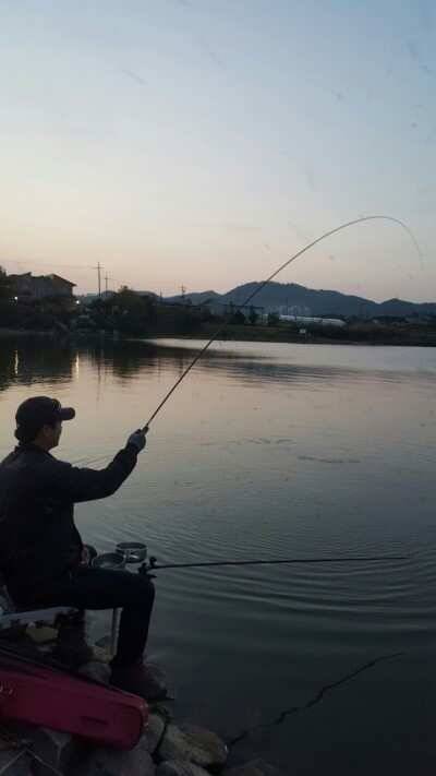 서태안권 조황 (조황조행기 - 낚시점조황)