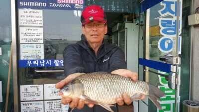 서태안권 4짜급 월척 마릿수 조황 (조황조행기 - 낚시점조황)